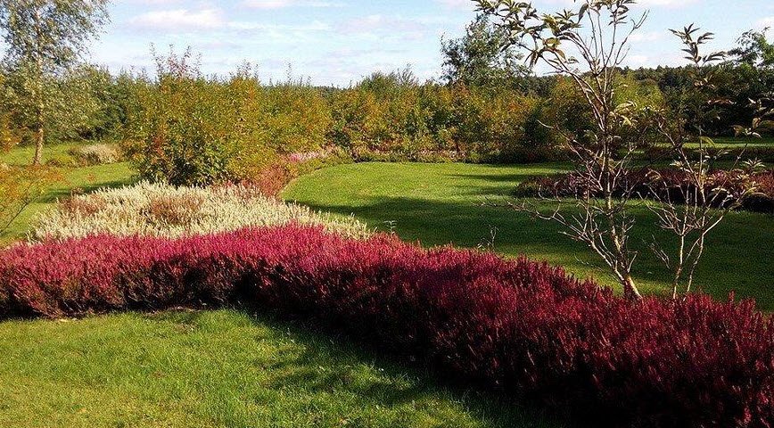 Usedoms Botanischer Garten, Germany
